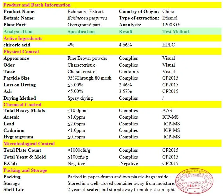 Herbway Factory Supply Echinacea Extract 4%Chicoric Acid Echinacea Purpurea Extract Echinacea Powder Extract