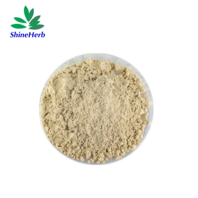 Adoçante Natural Luo Han Guo 60% Mogrosides 25% Mogroside V Monk Fruit Extract Powder