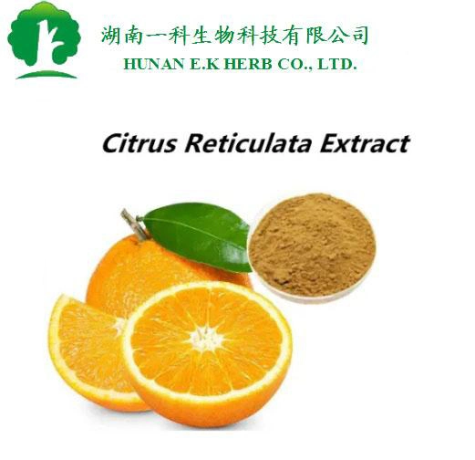 E. K Herb Kosher/Halal Certifie Supplement Hesperetina 98% Citrus Aurantium Extract Diosmin 98% Hesperidina 98% Extrato de Laranja Amarga Imaturo