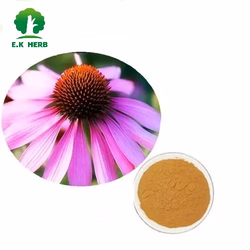 Fornecedor de ingredientes alimentícios Cynarin Powder Alcachofra Leaf Extract