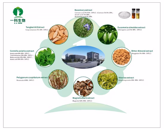 World Well-Being Biotech Certificação ISO&FDA 5%-98% Ácido Clorogênico Alcachofra Grão de Café Verde Mel Flor de Leite Extrato de Eucommia Ulmoides