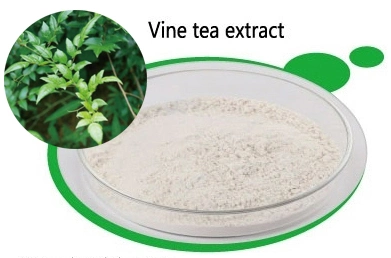 Dihydromyricetin Dhm Vine Tea Extract / Uncaria Gambir / Rattan Tea Extract